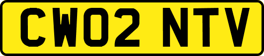 CW02NTV