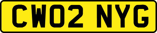 CW02NYG