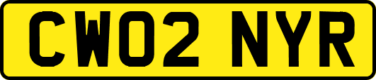 CW02NYR