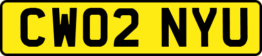 CW02NYU