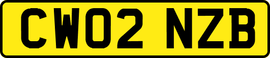 CW02NZB