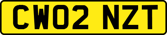 CW02NZT