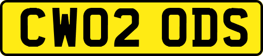 CW02ODS