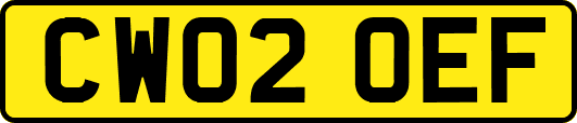CW02OEF