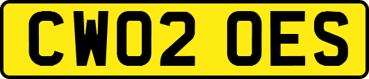 CW02OES