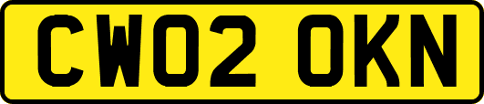 CW02OKN