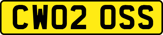 CW02OSS