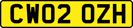CW02OZH