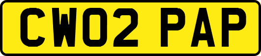 CW02PAP