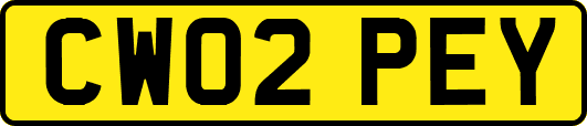 CW02PEY