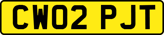 CW02PJT