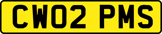 CW02PMS