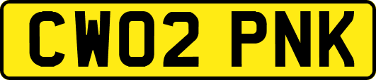CW02PNK