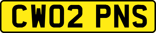 CW02PNS
