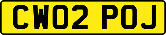 CW02POJ