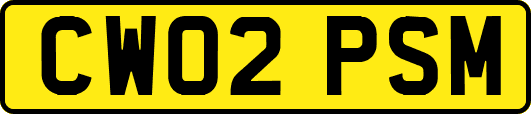 CW02PSM