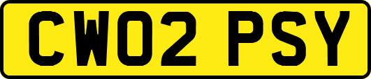 CW02PSY