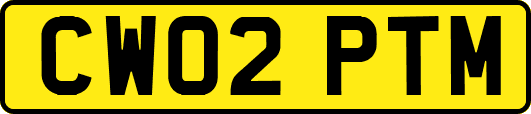 CW02PTM