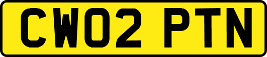 CW02PTN