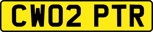 CW02PTR
