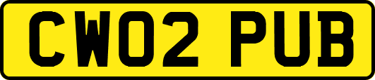 CW02PUB