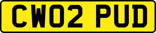 CW02PUD