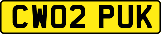 CW02PUK