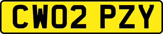 CW02PZY