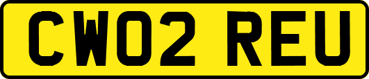 CW02REU