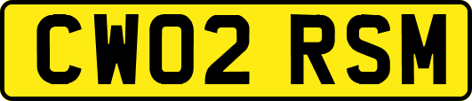 CW02RSM
