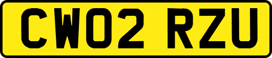 CW02RZU
