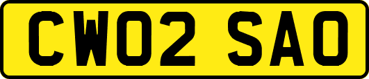 CW02SAO