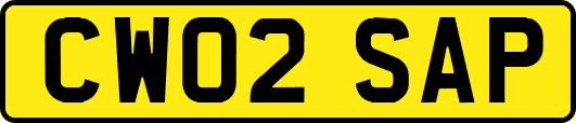 CW02SAP
