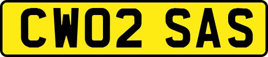 CW02SAS