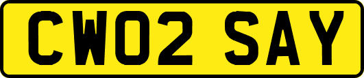 CW02SAY