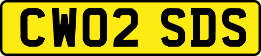CW02SDS