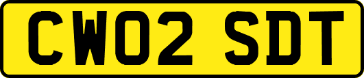 CW02SDT