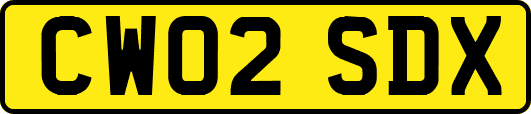 CW02SDX