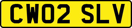 CW02SLV