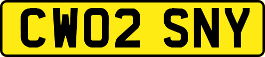 CW02SNY
