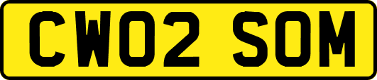 CW02SOM