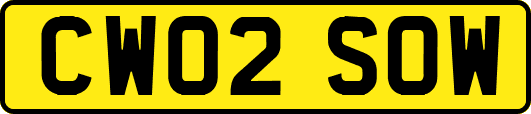 CW02SOW