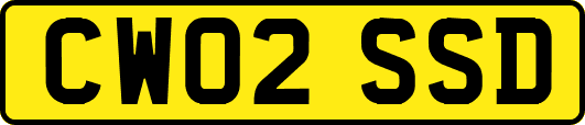 CW02SSD