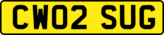 CW02SUG