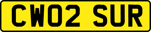 CW02SUR