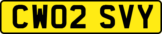 CW02SVY