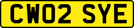 CW02SYE