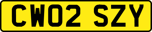 CW02SZY