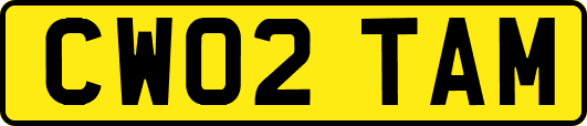 CW02TAM