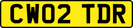 CW02TDR